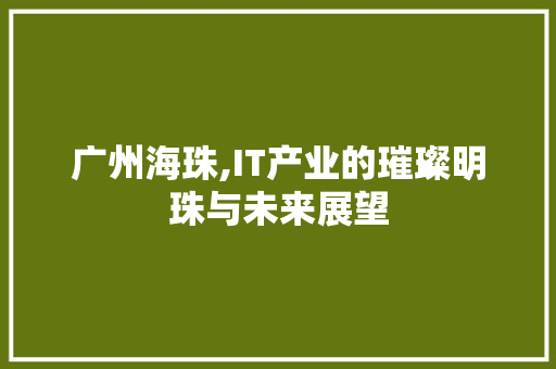 广州海珠,IT产业的璀璨明珠与未来展望