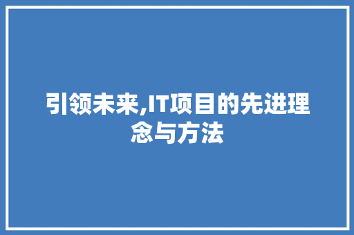 引领未来,IT项目的先进理念与方法 搜狗优化
