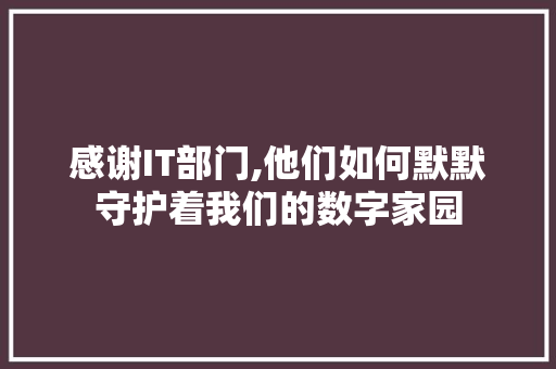 感谢IT部门,他们如何默默守护着我们的数字家园 seo技术