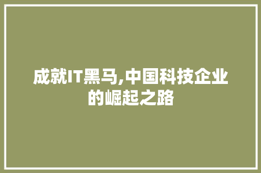 成就IT黑马,中国科技企业的崛起之路 网站优化