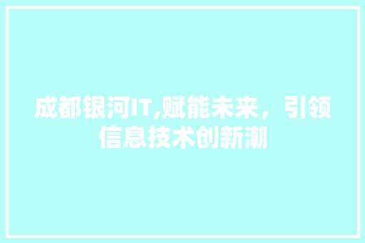 成都银河IT,赋能未来，引领信息技术创新潮 seo技术
