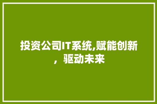 投资公司IT系统,赋能创新，驱动未来 网站优化