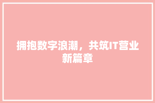 拥抱数字浪潮，共筑IT营业新篇章 百度算法