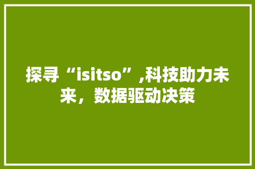 探寻“isitso”,科技助力未来，数据驱动决策