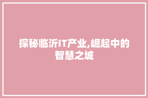 探秘临沂IT产业,崛起中的智慧之城