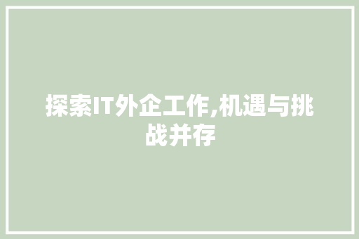 探索IT外企工作,机遇与挑战并存