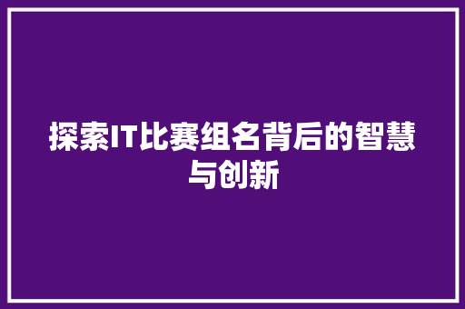 探索IT比赛组名背后的智慧与创新