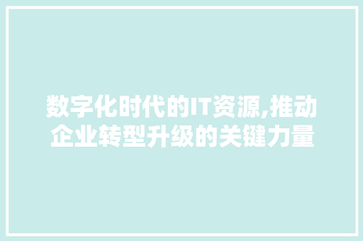 数字化时代的IT资源,推动企业转型升级的关键力量 360搜优化