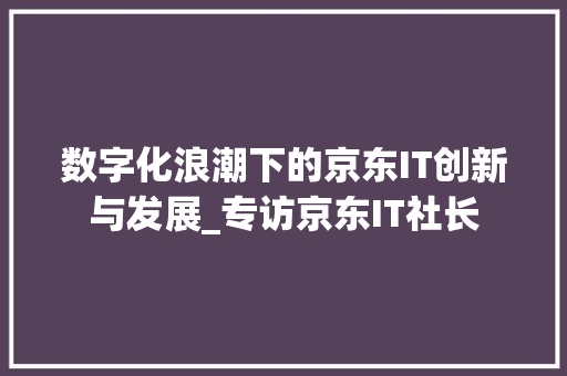 数字化浪潮下的京东IT创新与发展_专访京东IT社长