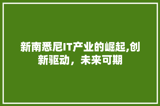 新南悉尼IT产业的崛起,创新驱动，未来可期 搜狗优化