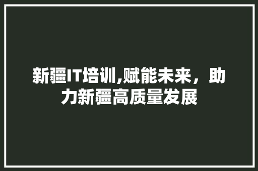 新疆IT培训,赋能未来，助力新疆高质量发展 网站优化