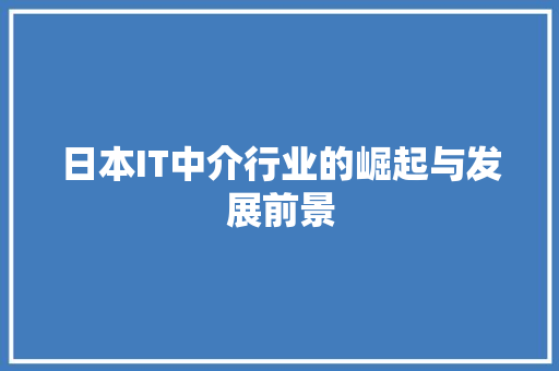 日本IT中介行业的崛起与发展前景