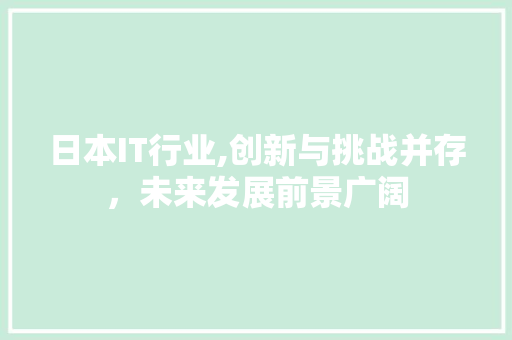 日本IT行业,创新与挑战并存，未来发展前景广阔