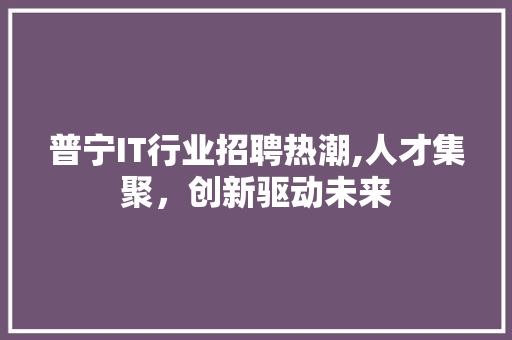 普宁IT行业招聘热潮,人才集聚，创新驱动未来 网站优化