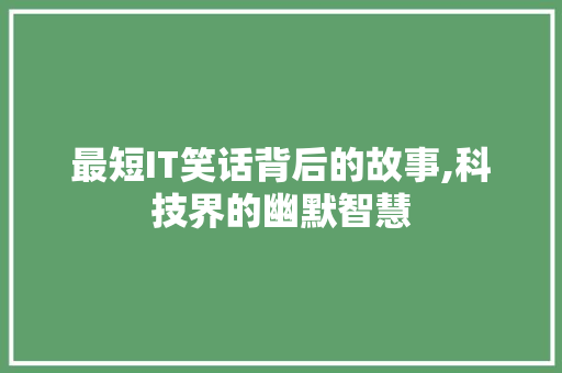 最短IT笑话背后的故事,科技界的幽默智慧 AI技术学习