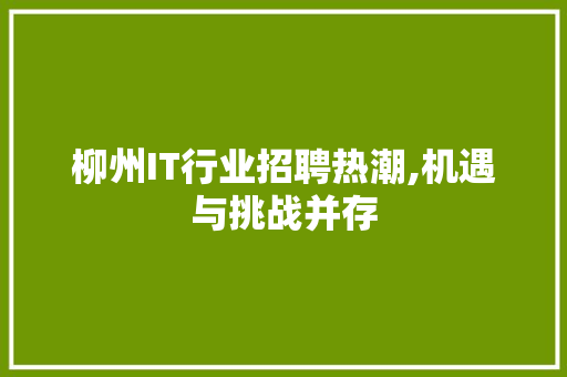 柳州IT行业招聘热潮,机遇与挑战并存 seo技术