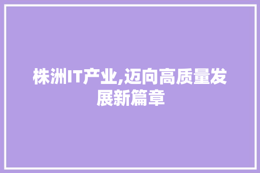 株洲IT产业,迈向高质量发展新篇章 网站开发
