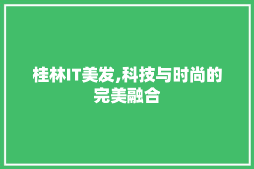 桂林IT美发,科技与时尚的完美融合