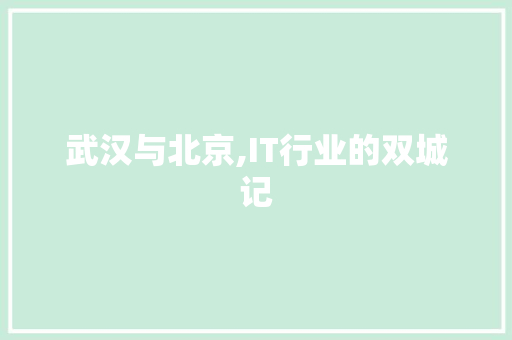 武汉与北京,IT行业的双城记
