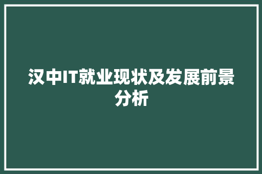 汉中IT就业现状及发展前景分析 360搜优化