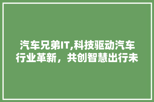 汽车兄弟IT,科技驱动汽车行业革新，共创智慧出行未来 英文谷歌算法