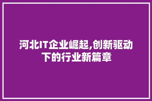 河北IT企业崛起,创新驱动下的行业新篇章 网站优化