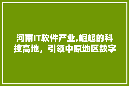 河南IT软件产业,崛起的科技高地，引领中原地区数字化转型 搜狗优化