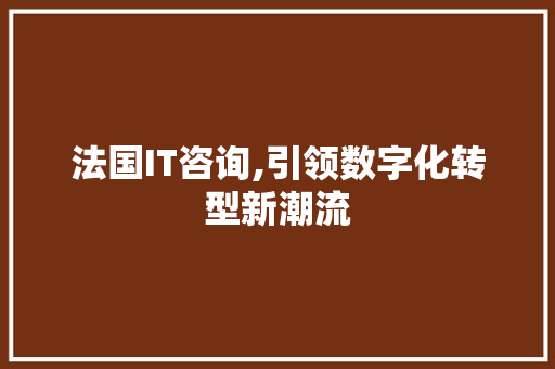 法国IT咨询,引领数字化转型新潮流