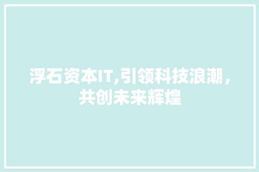浮石资本IT,引领科技浪潮，共创未来辉煌