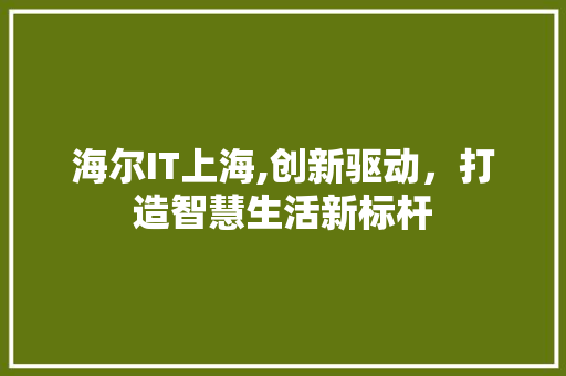 海尔IT上海,创新驱动，打造智慧生活新标杆