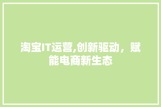 淘宝IT运营,创新驱动，赋能电商新生态 网站优化