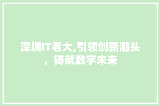 深圳IT老大,引领创新潮头，铸就数字未来 头条优化