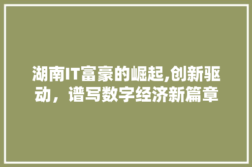 湖南IT富豪的崛起,创新驱动，谱写数字经济新篇章 seo技术
