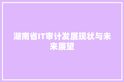 湖南省IT审计发展现状与未来展望 网站优化