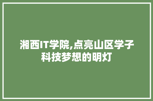 湘西IT学院,点亮山区学子科技梦想的明灯 英文谷歌算法