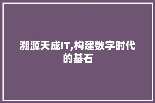 溯源天成IT,构建数字时代的基石