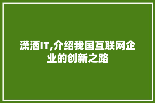 潇洒IT,介绍我国互联网企业的创新之路 360搜优化