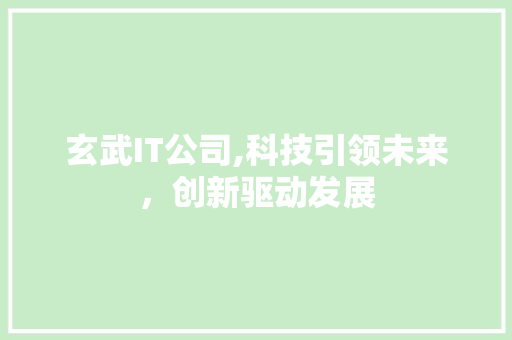 玄武IT公司,科技引领未来，创新驱动发展