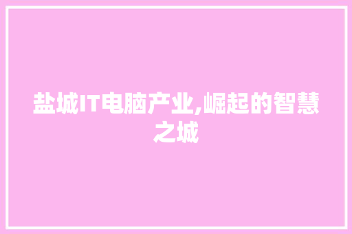 盐城IT电脑产业,崛起的智慧之城 seo技术