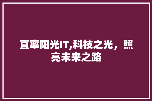 直率阳光IT,科技之光，照亮未来之路