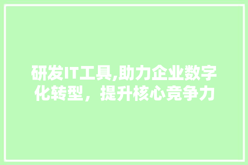 研发IT工具,助力企业数字化转型，提升核心竞争力