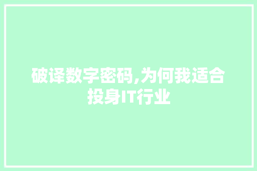 破译数字密码,为何我适合投身IT行业 网站开发
