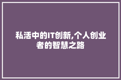 私活中的IT创新,个人创业者的智慧之路