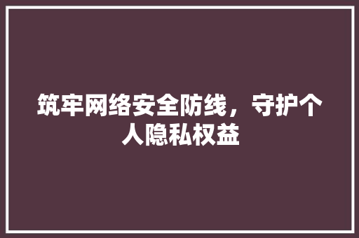 筑牢网络安全防线，守护个人隐私权益