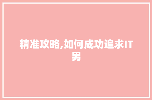 精准攻略,如何成功追求IT男 百度算法