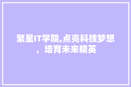 繁星IT学院,点亮科技梦想，培育未来精英 网站优化