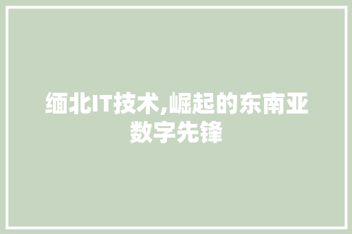 缅北IT技术,崛起的东南亚数字先锋