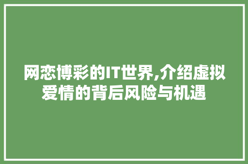 网恋博彩的IT世界,介绍虚拟爱情的背后风险与机遇 网站优化