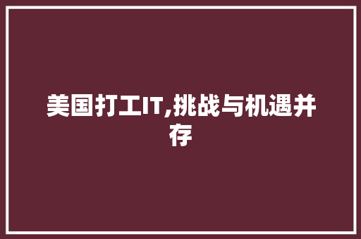 美国打工IT,挑战与机遇并存 小程序开发