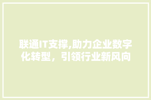 联通IT支撑,助力企业数字化转型，引领行业新风向